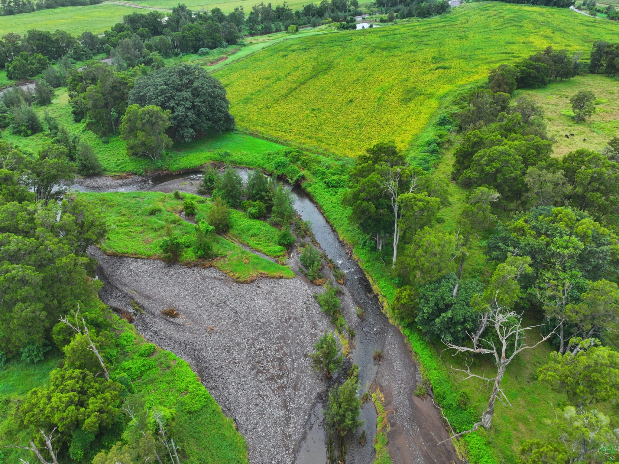 Seq $6.7 million to restore Scenic Rim’s Upper Warrill Creek - Council of ...