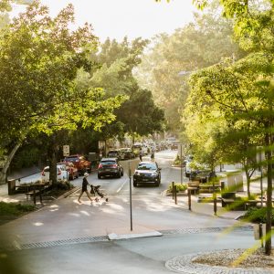 Green Urban Infrastrcuture Image