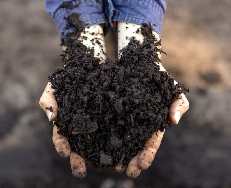 MUDs_Earthborn_10
