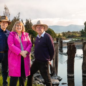 Upper Warrill Creek