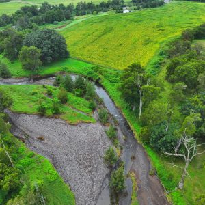 Upper Warrill Creek (Alluvium Consulting)